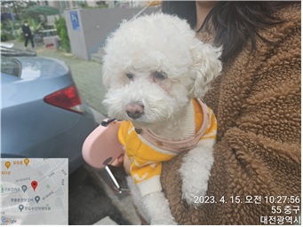 대전동물보호센터_430365202300121